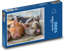 Schweine - Ferkel, jung Puzzle 1000 Teile - 60 x 46 cm