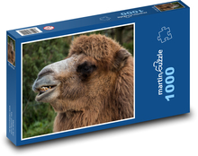Kamel - Tier, Zoo Puzzle 1000 Teile - 60 x 46 cm