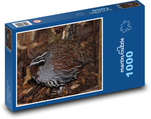 Quail - bird, animal Puzzle 1000 pieces - 60 x 46 cm 