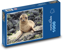 Seelöwe - Galapagos, Jungtier Puzzle 1000 Teile - 60 x 46 cm