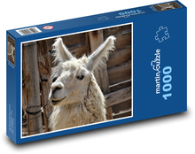 Lama - zviera, zoo Puzzle 1000 dielikov - 60 x 46 cm