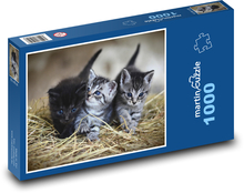 Mačiatka - mačky, zvieratá Puzzle 1000 dielikov - 60 x 46 cm 