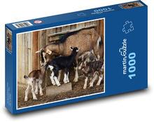 Kozy - kůzlata, zvířata Puzzle 1000 dílků - 60 x 46 cm