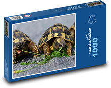 Korytnačky - plaz, zviera Puzzle 1000 dielikov - 60 x 46 cm 