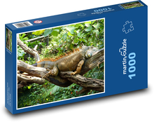 Iguana - gad, jaszczurka Puzzle 1000 elementów - 60x46 cm
