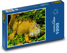 Leguán - plaz, zviera Puzzle 1000 dielikov - 60 x 46 cm 