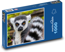 Lemur - małpa, zoo Puzzle 1000 elementów - 60x46 cm