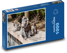 Makak - opice, mládě Puzzle 1000 dílků - 60 x 46 cm