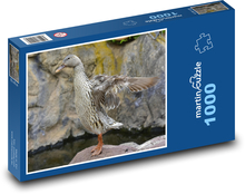 Wild duck - water bird, animal Puzzle 1000 pieces - 60 x 46 cm 
