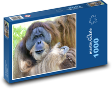 Orangutan - opice, zvíře Puzzle 1000 - 60x46 cm