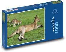 Klokani - Austrálie, zvíře Puzzle 1000 dílků - 60 x 46 cm