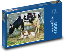 Kráva - tele, zvíře Puzzle 1000 dílků - 60 x 46 cm
