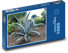 Rastlina - kaktus Puzzle 1000 dielikov - 60 x 46 cm 