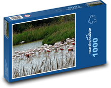 Růžoví plameňáci - jezero, ptáci Puzzle 1000 dílků - 60 x 46 cm