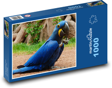 Modrý papoušek - hyacintový papoušek Puzzle 1000 dílků - 60 x 46 cm