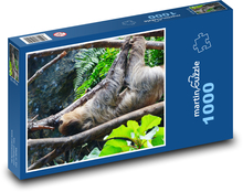 Leniwiec - wspinaczka, zwierzę Puzzle 1000 elementów - 60x46 cm