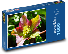 Vánoční růže - květina, květ Puzzle 1000 - 60x46 cm