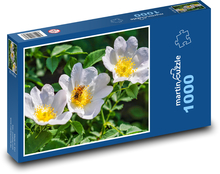 Šípek - bílý květ, včela Puzzle 1000 dílků - 60 x 46 cm