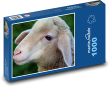Jehně - mládě, ovce Puzzle 1000 dílků - 60 x 46 cm