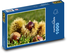 Kaštan - podzim, příroda Puzzle 1000 dílků - 60 x 46 cm