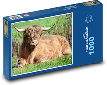 Stier - Tier, Bauernhof Puzzle 1000 Teile - 60 x 46 cm