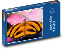 Pomarańczowy motyl - skrzydła, owady Puzzle 1000 elementów - 60x46 cm