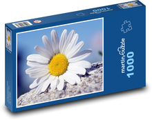 Kopretina - biely kvet, rastlina Puzzle 1000 dielikov - 60 x 46 cm 