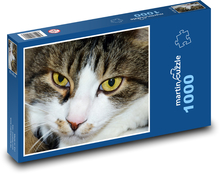Kočka domácí - mazlíček, kocour Puzzle 1000 dílků - 60 x 46 cm