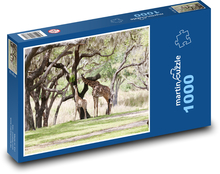 Žirafa - zvířata, zoo Puzzle 1000 dílků - 60 x 46 cm