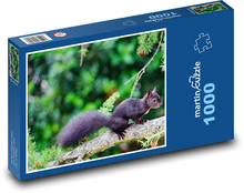 Zvíře - černá veverka Puzzle 1000 dílků - 60 x 46 cm