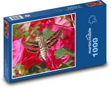 Kolibrík - mora, kvetina Puzzle 1000 dielikov - 60 x 46 cm 