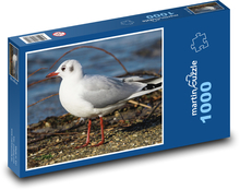 Möwe - Vogel, Meer Puzzle 1000 Teile - 60 x 46 cm