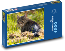 Kočka - louka, mazlíček Puzzle 1000 dílků - 60 x 46 cm