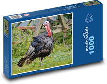 Krocan - pták, domácí drůbež Puzzle 1000 dílků - 60 x 46 cm