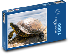 Turtle - lake, water Puzzle 1000 pieces - 60 x 46 cm 