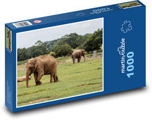 Slony - safari, príroda Puzzle 1000 dielikov - 60 x 46 cm