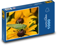 Grasshopper - insects, flower Puzzle 1000 pieces - 60 x 46 cm 