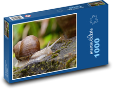 Slimák - mäkkýš, slimák Puzzle 1000 dielikov - 60 x 46 cm 