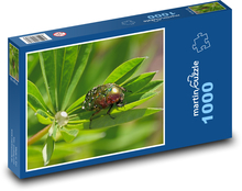 Käfer - Insekt, Tau Puzzle 1000 Teile - 60 x 46 cm