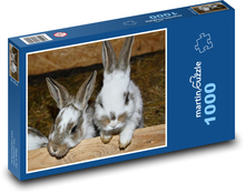 Królik - zwierzę domowe, ssak Puzzle 1000 elementów - 60x46 cm