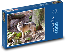 Wolf - wildlife, nature Puzzle 1000 pieces - 60 x 46 cm 
