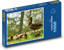 Duck - chicks, water bird Puzzle 1000 pieces - 60 x 46 cm 