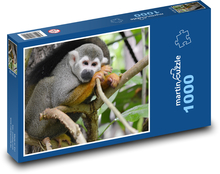 Opice - roztomilý, primát Puzzle 1000 dílků - 60 x 46 cm