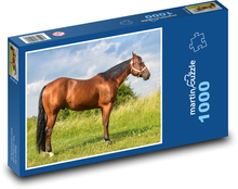 Horse - animal, meadow Puzzle 1000 pieces - 60 x 46 cm 