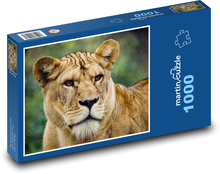 Levica - veľká mačka, predátor Puzzle 1000 dielikov - 60 x 46 cm 
