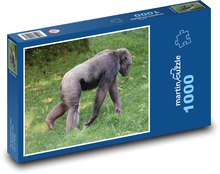 Opice - šimpanz, zoo Puzzle 1000 dílků - 60 x 46 cm
