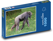 Monkey - chimpanzee, zoo Puzzle 1000 pieces - 60 x 46 cm