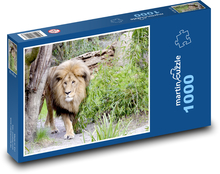Löwe - Wildkatze, Raubtier Puzzle 1000 Teile - 60 x 46 cm