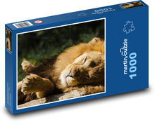Lev - velká kočka, hříva Puzzle 1000 dílků - 60 x 46 cm