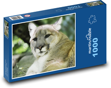 Puma - velká kočka, dravec Puzzle 1000 dílků - 60 x 46 cm
